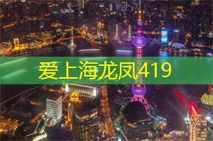 美食与茶搭配的极致享受！上海新茶工作室让你的味蕾 __ 迭起